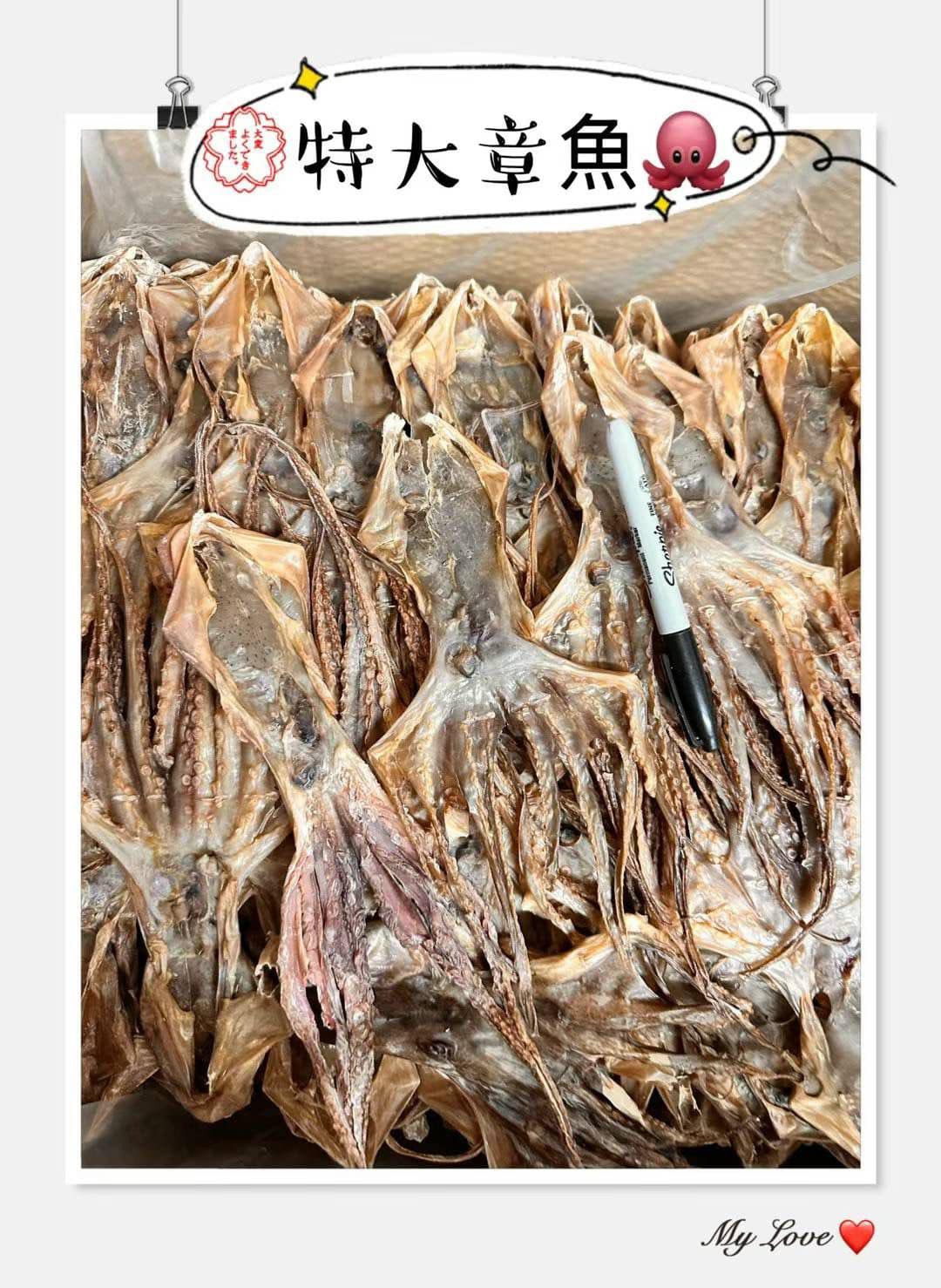 一級特大章魚 (1磅)