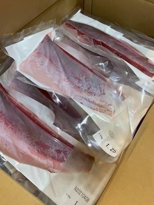 日本 Hamachi 油金魚背肉刺身