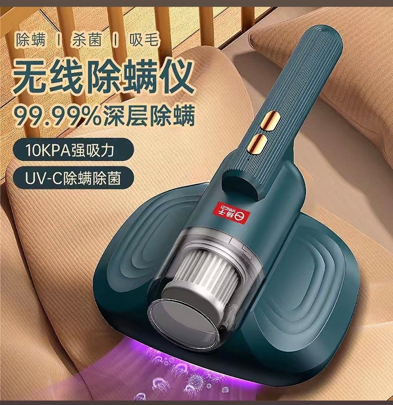揚子牌除蟎儀