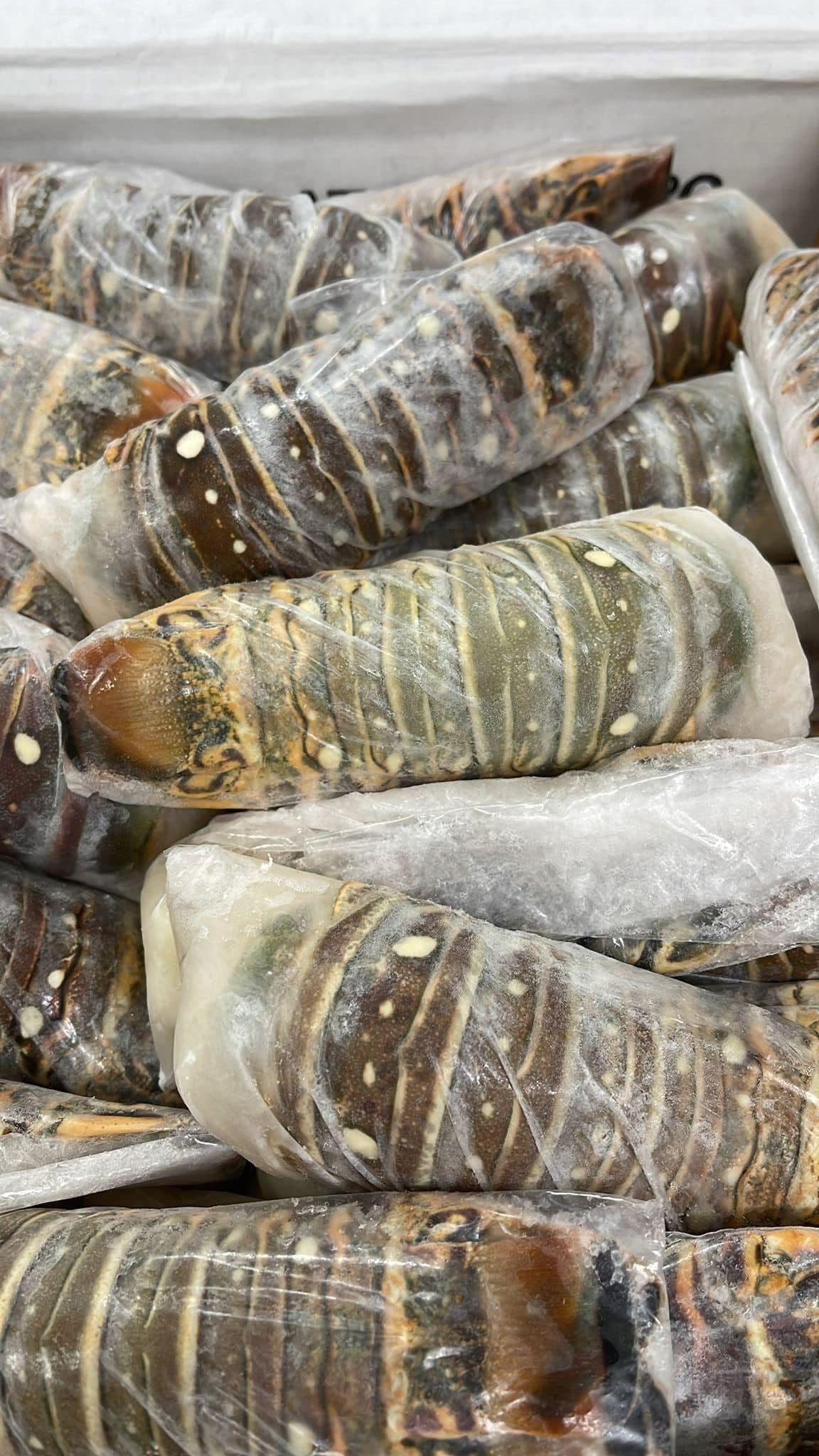 Cuba🇨🇺Frozen Lobster Tails🦞 4-5oz (3 pieces)
