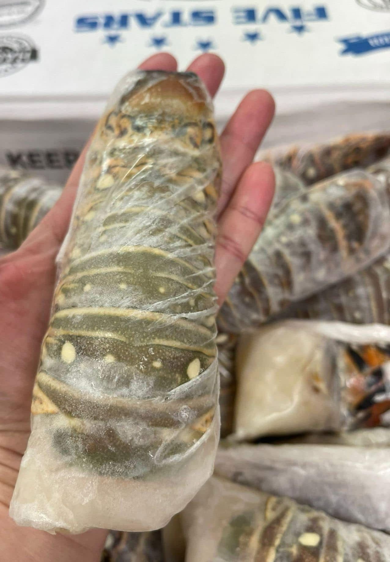 Cuba🇨🇺Frozen Lobster Tails🦞 4-5oz (3 pieces)