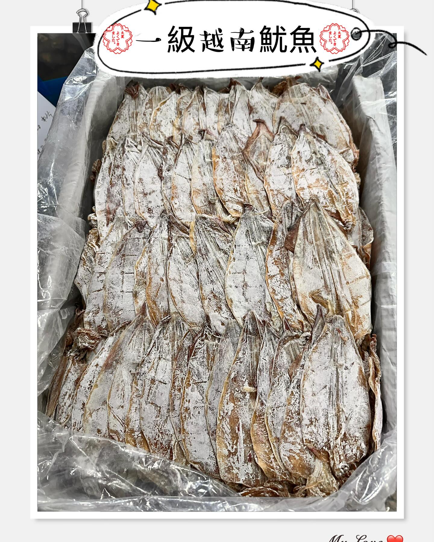 越南4A 靚乾魷魚 (一磅)