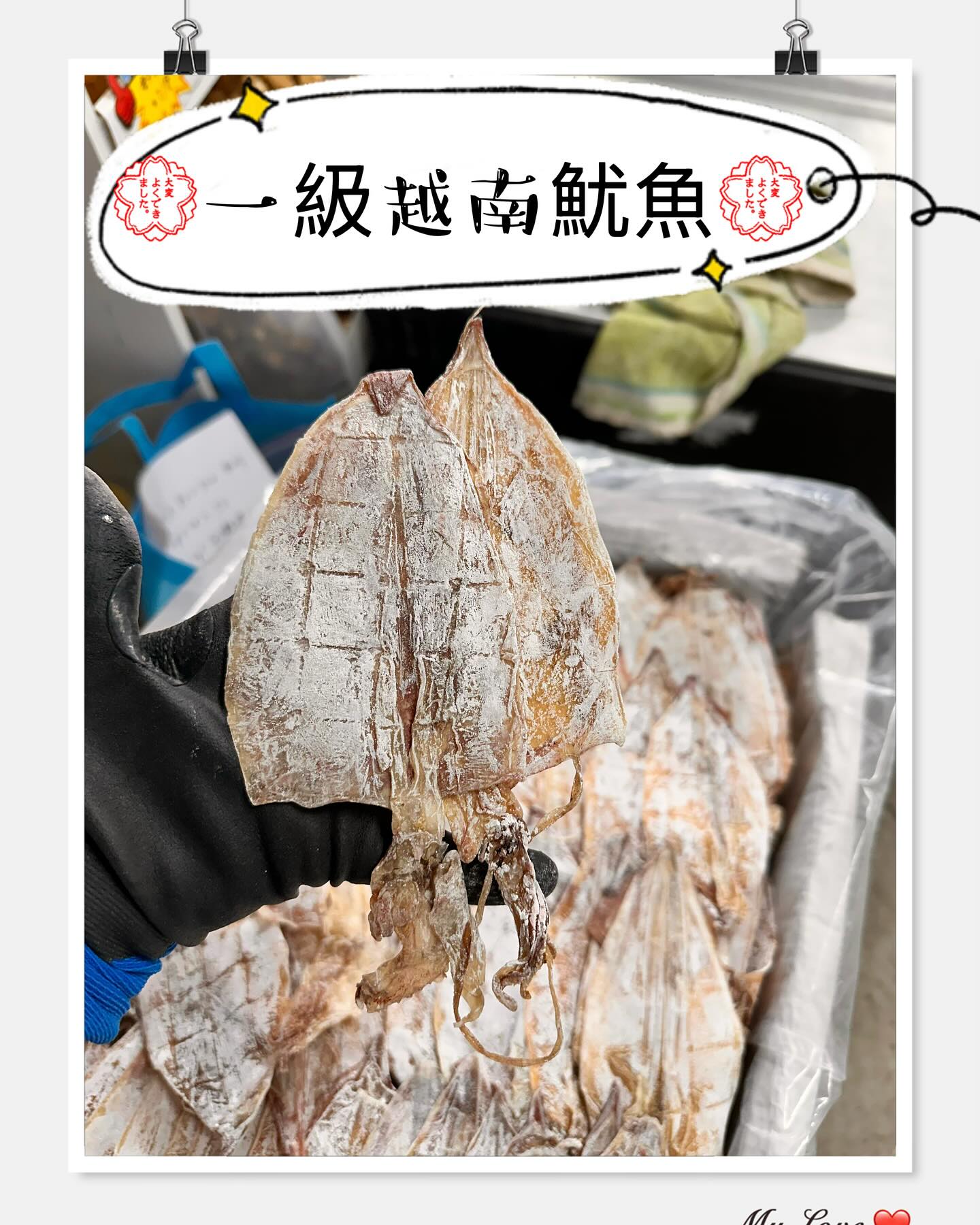 越南4A 靚乾魷魚 (一磅)