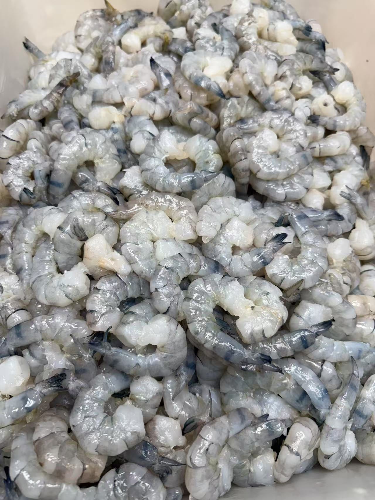 手工特大虎蝦雲吞 (30粒)