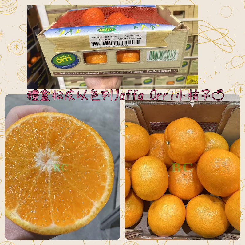 以色列 Jaffa Orri小桔子