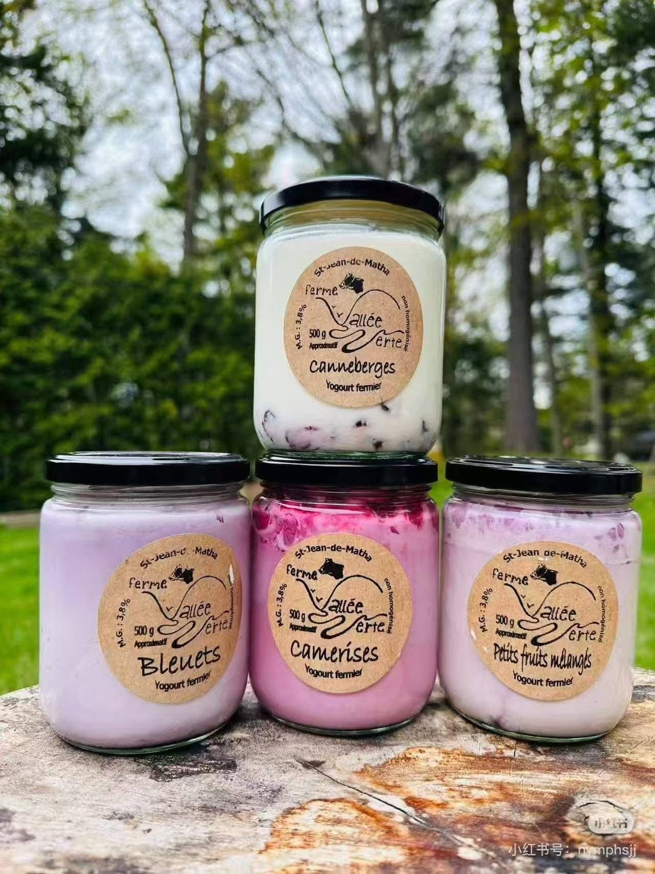 加拿大MTL乳酪 Montreal 3.8% Green Valley Farm Yogurt