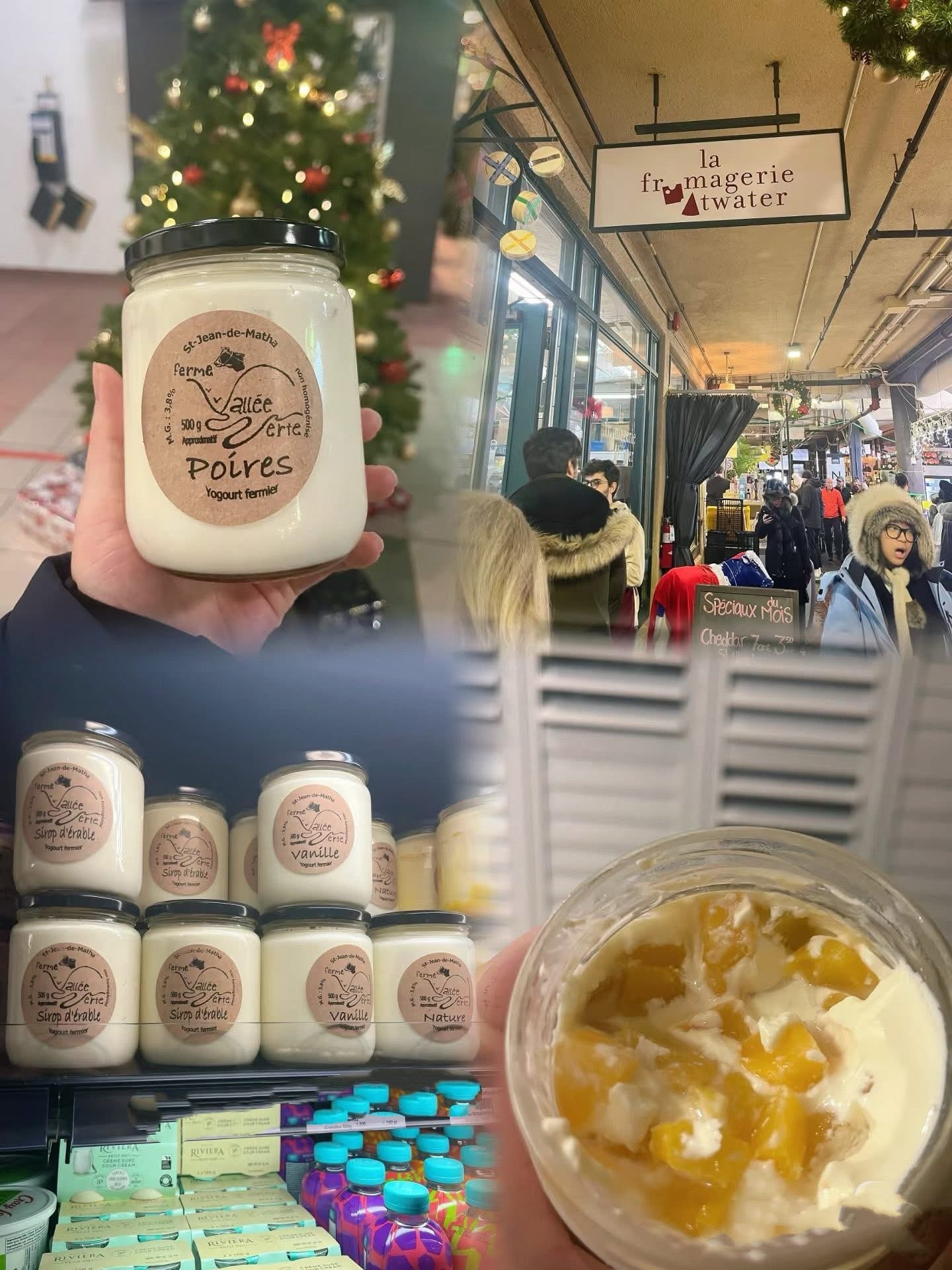 加拿大MTL乳酪 Montreal 3.8% Green Valley Farm Yogurt