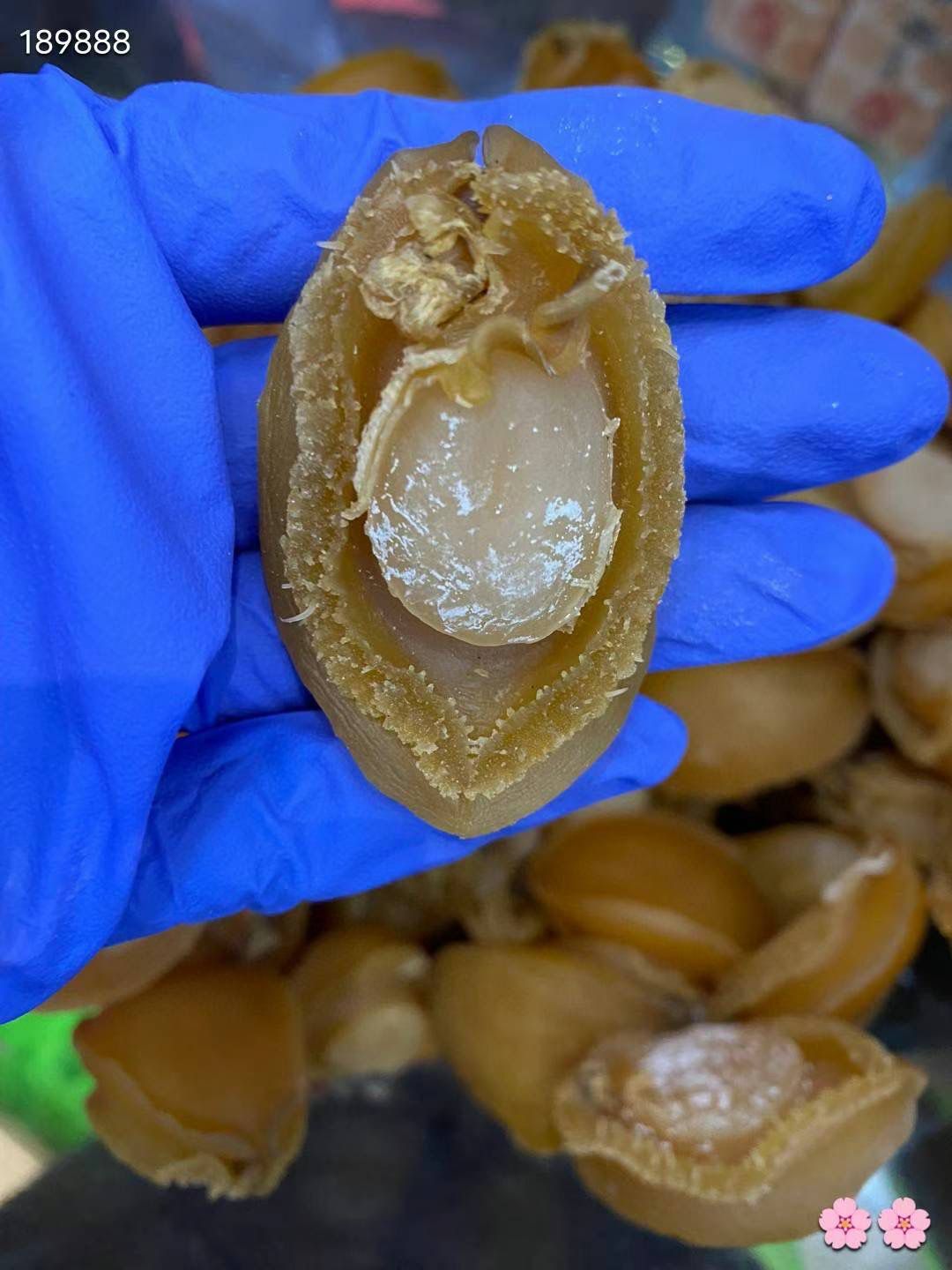 大號25至30頭 乾鮑魚 (1磅)