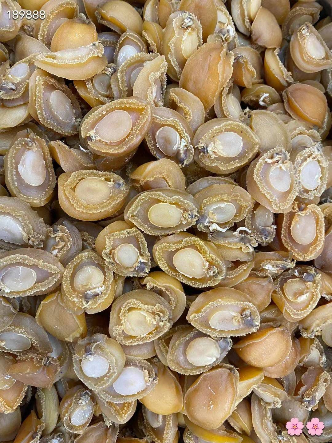 大號25至30頭 乾鮑魚 (1磅)