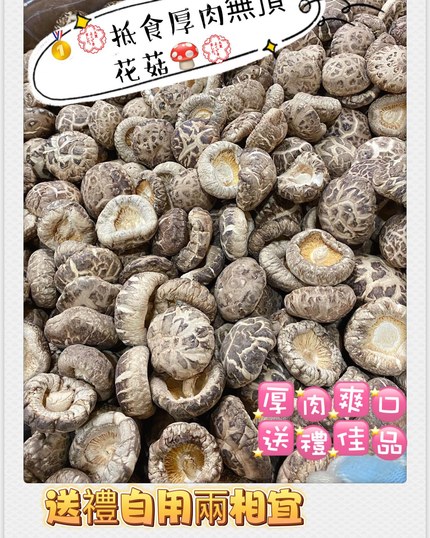 厚肉無頂花菇 (2磅)