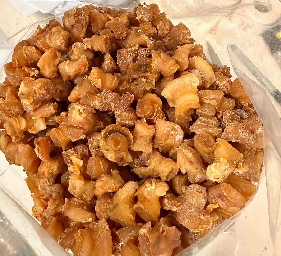一級西非螺頭