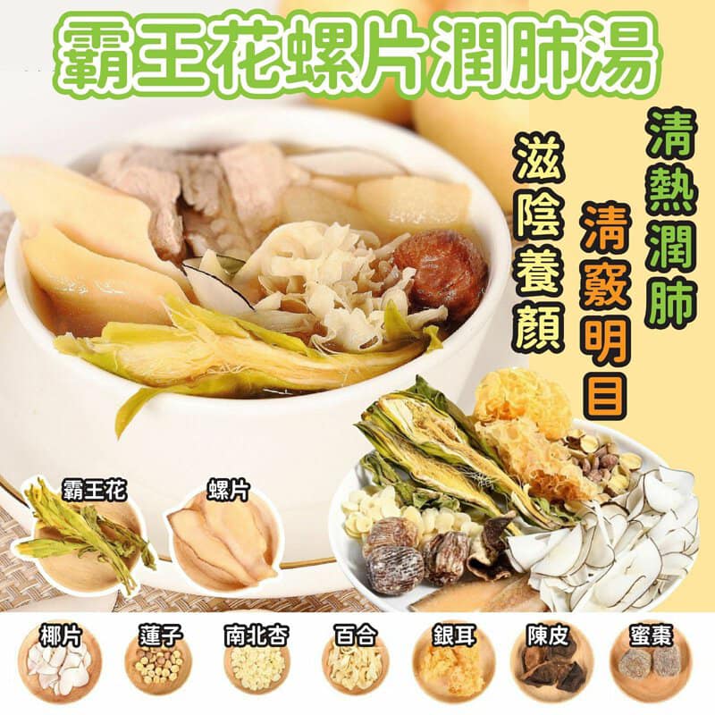 西非原只大響螺片