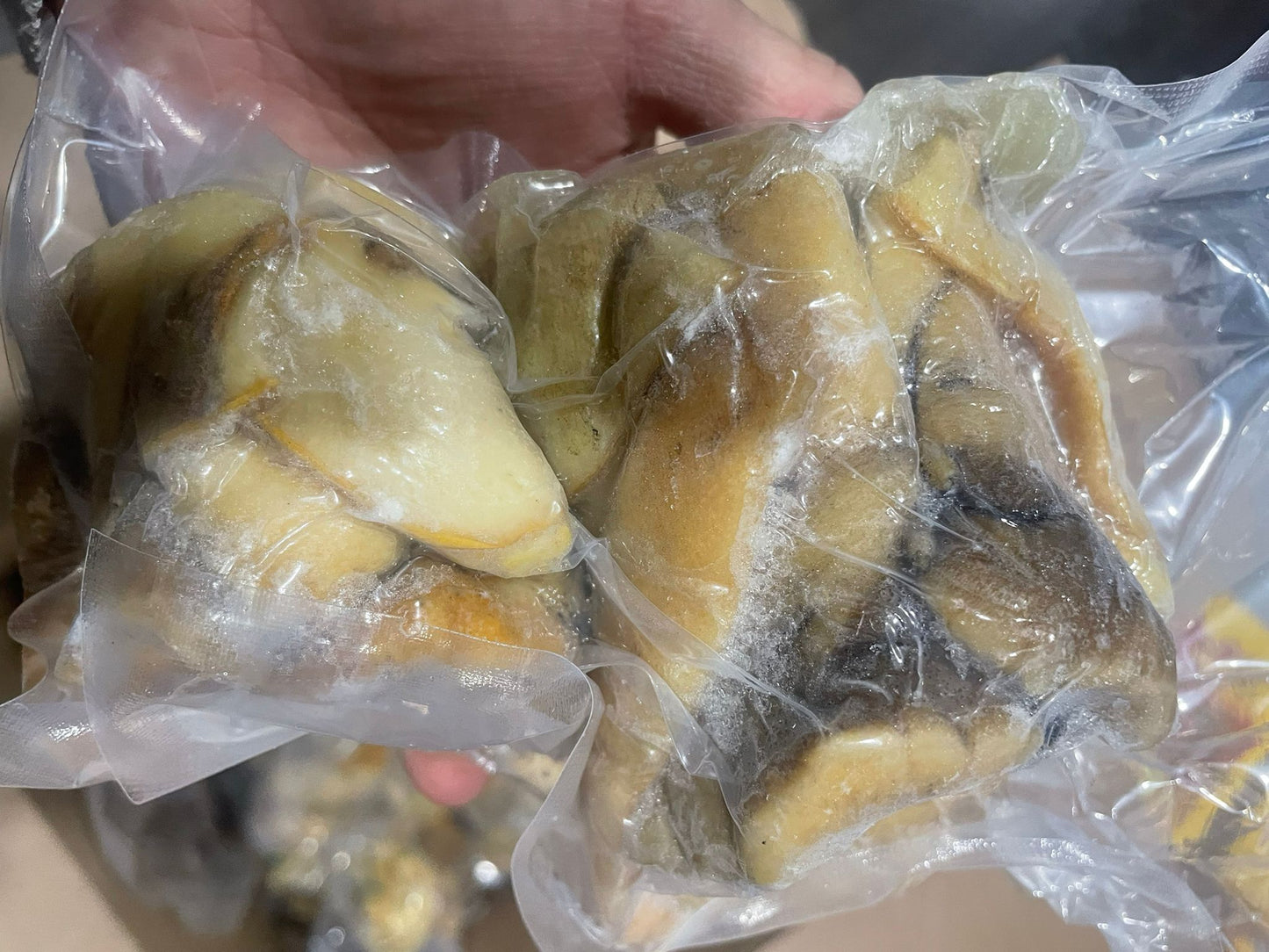 野生南美冰鮮野生特大响螺肉 (2磅)