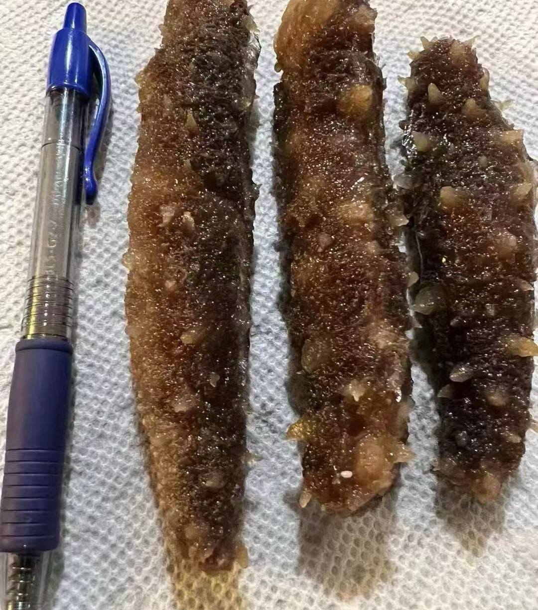 加拿大 帶刺海參 (2磅)