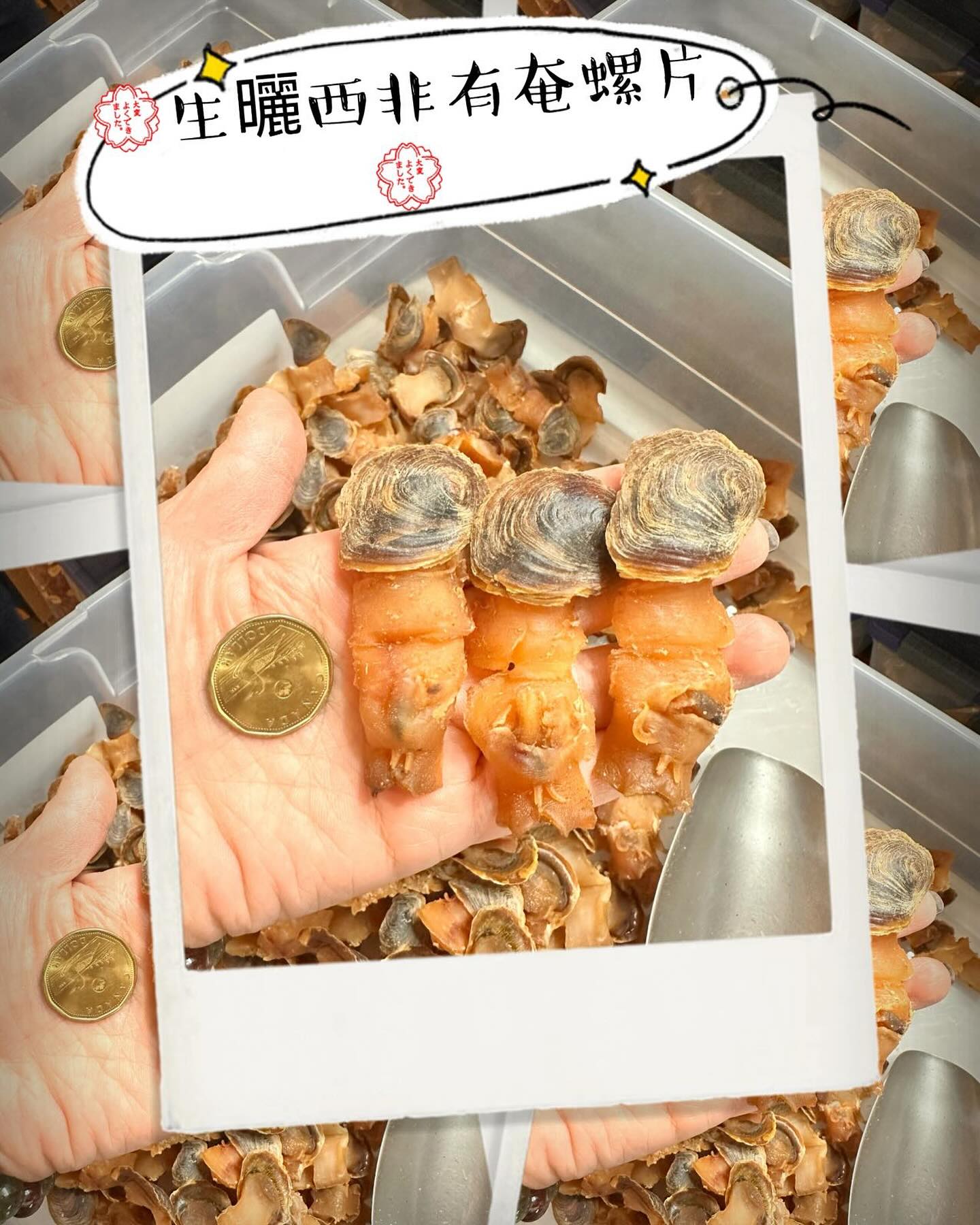 生曬西非有奄螺片仔