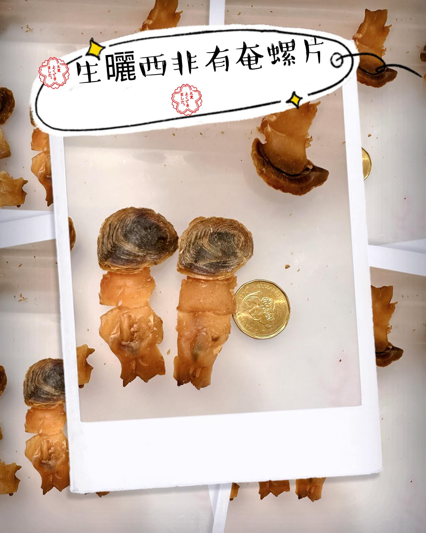 生曬西非有奄螺片仔