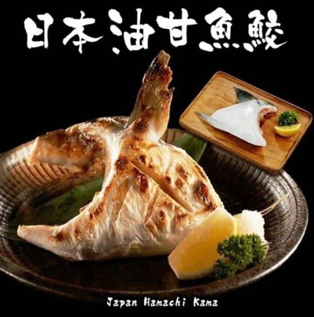 日本油甘魚鮫