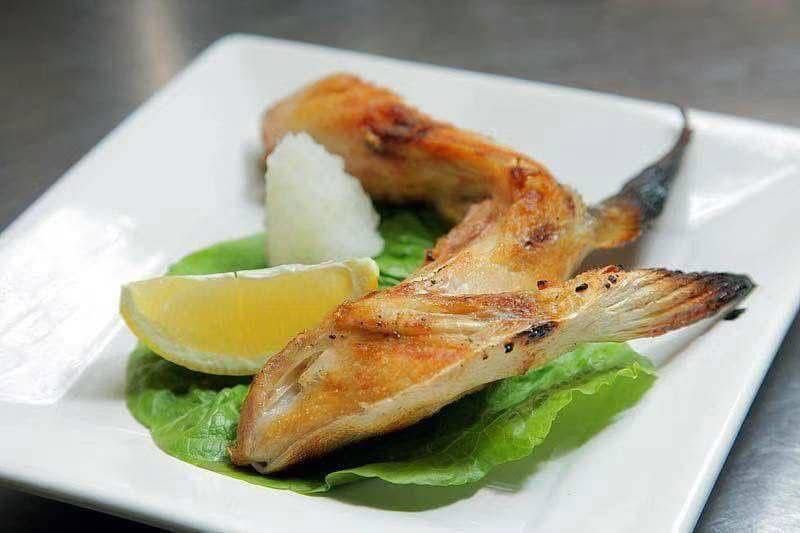 日本油甘魚鮫