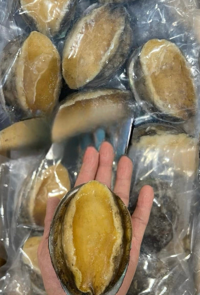 Taiwan extra large abalone 1kg (8 pieces)