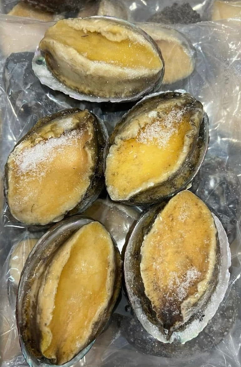 Taiwan extra large abalone 1kg (8 pieces)