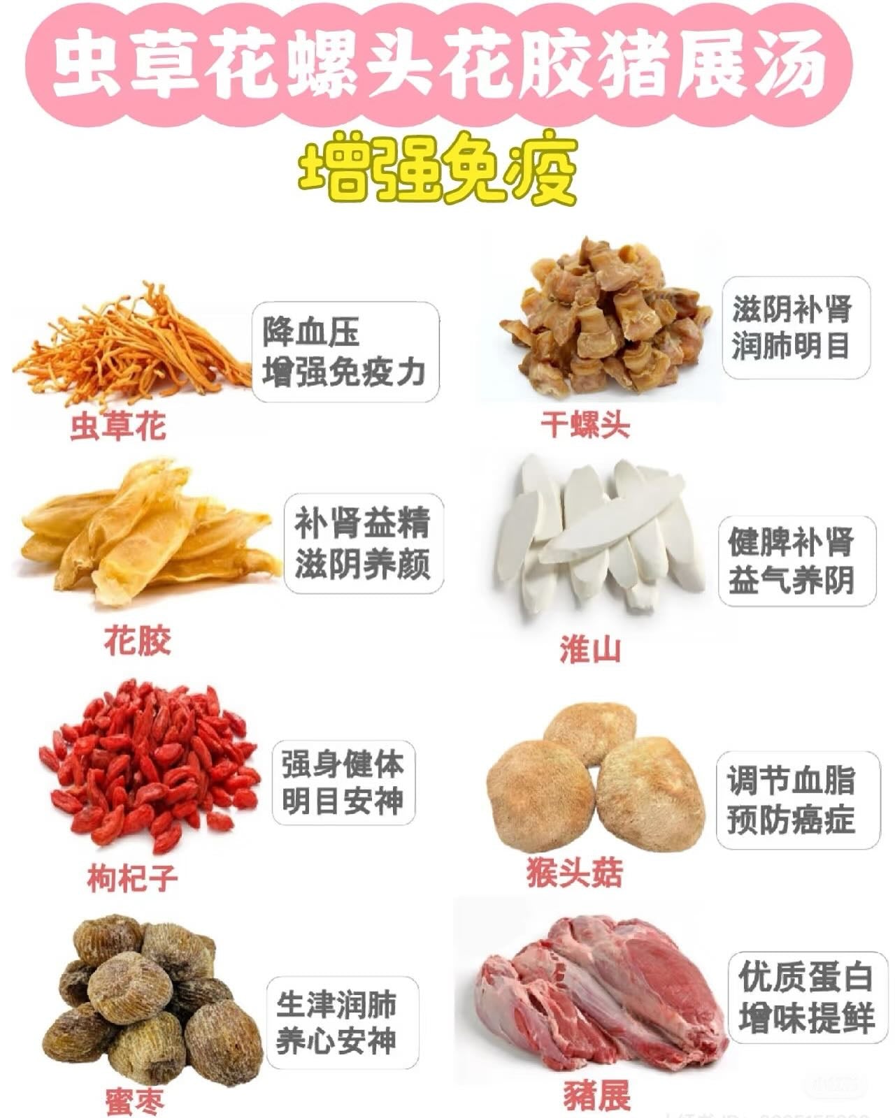 一級西非大螺頭/中螺頭