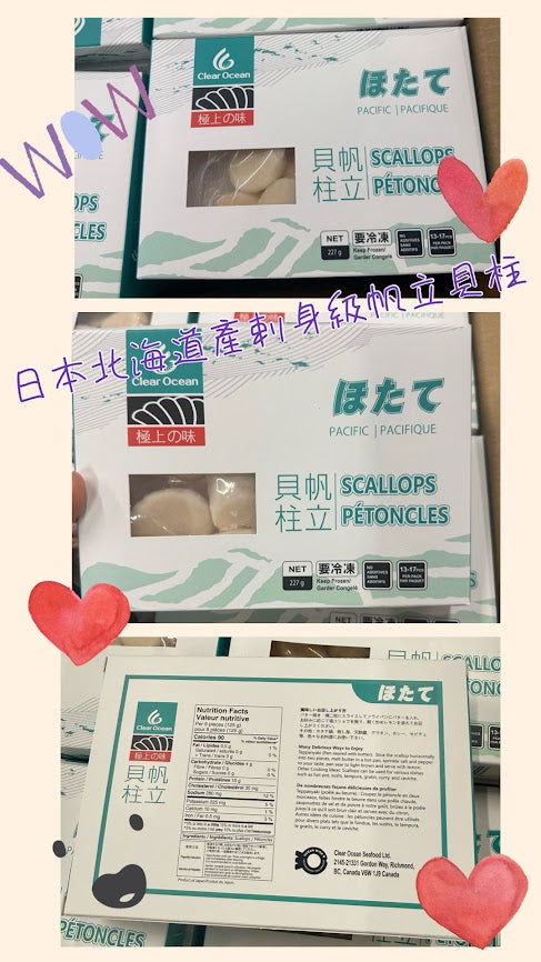 Made in Hokkaido, Japan🇯🇵shin level 2S size sail shell column