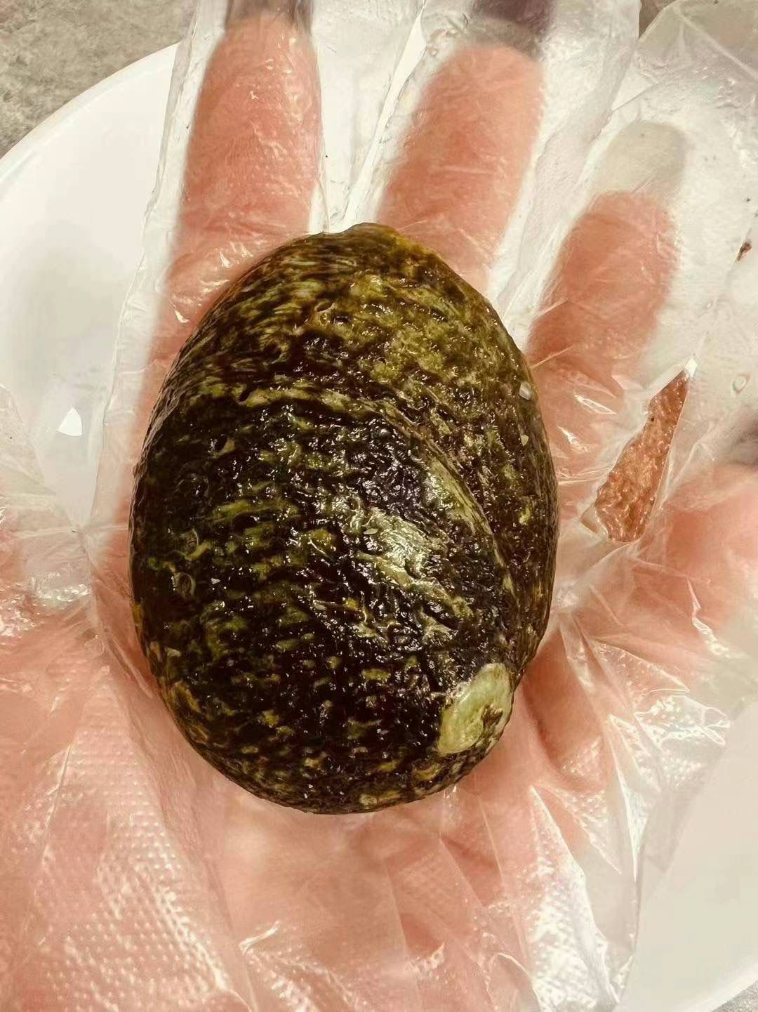 Australian green-sided abalone (1 box, 1 kg, about 15-18 pieces)