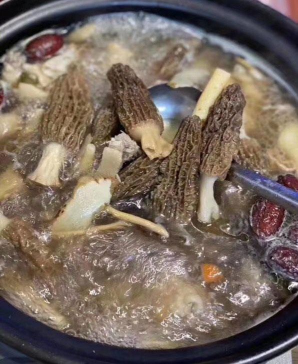 First-grade Morchella