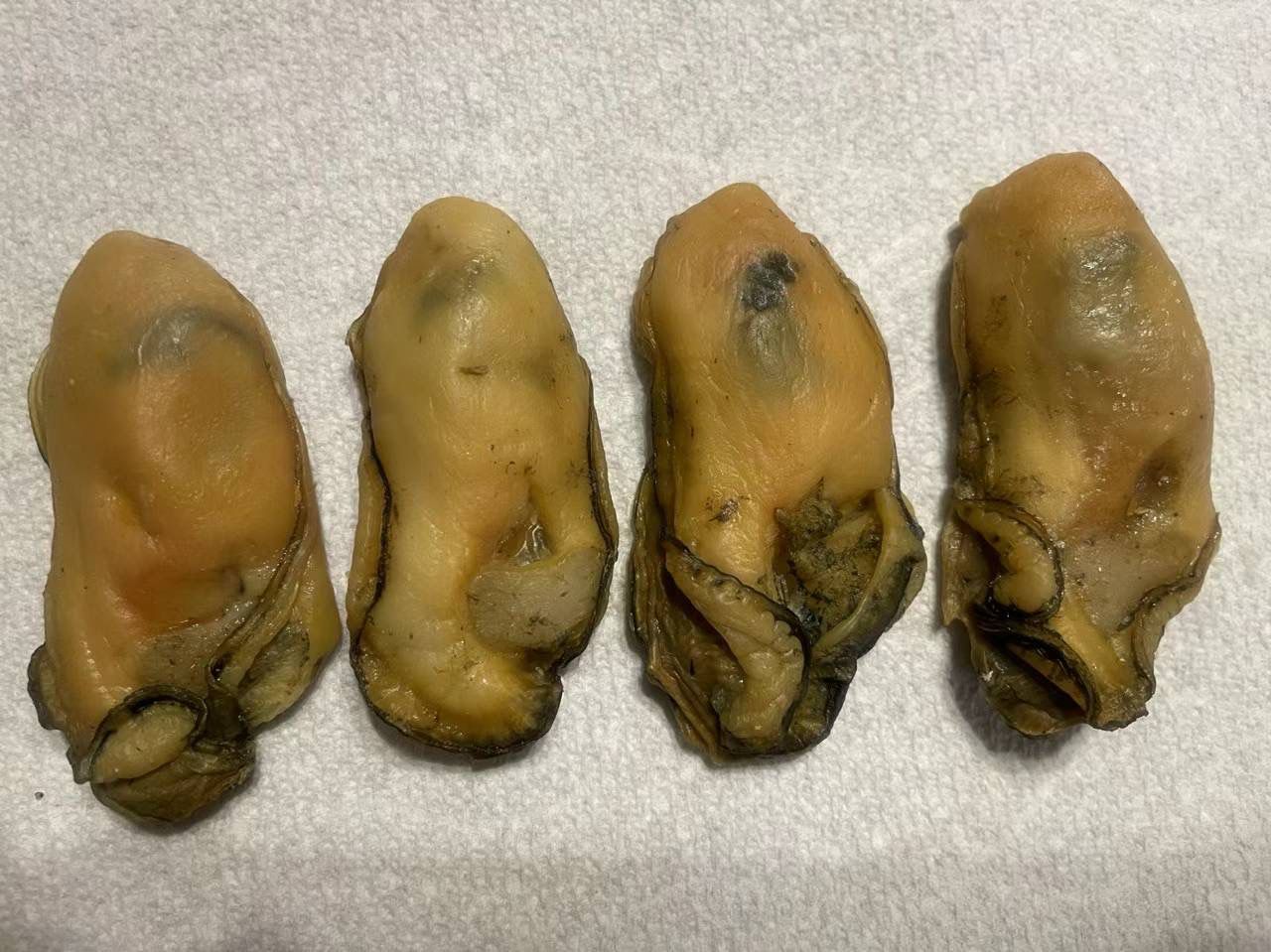 生曬靚蠔 (1磅)