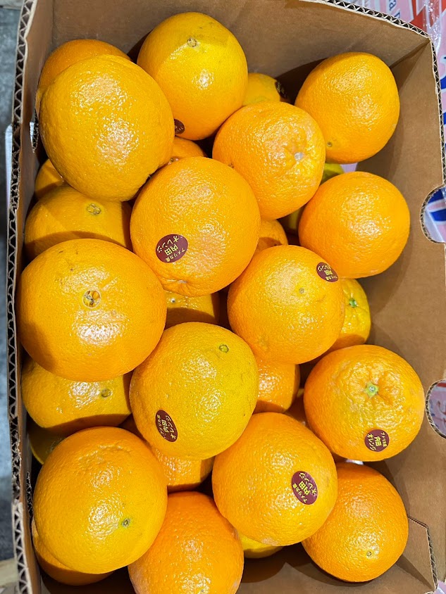 Japanese oranges (36 oranges per half box / 72 oranges per full box)