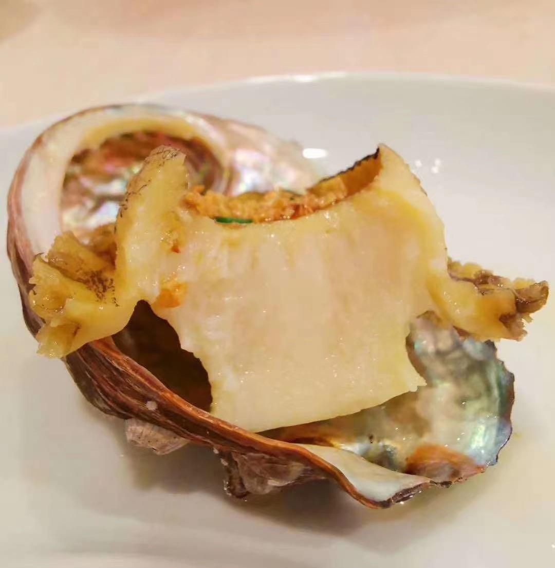 Taiwan extra large abalone 1kg (8 pieces)