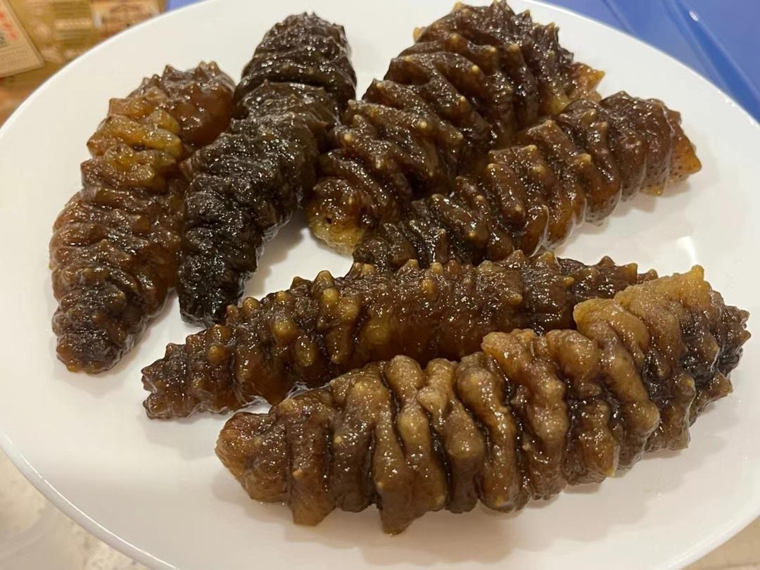 南美靚刺参 (1磅)