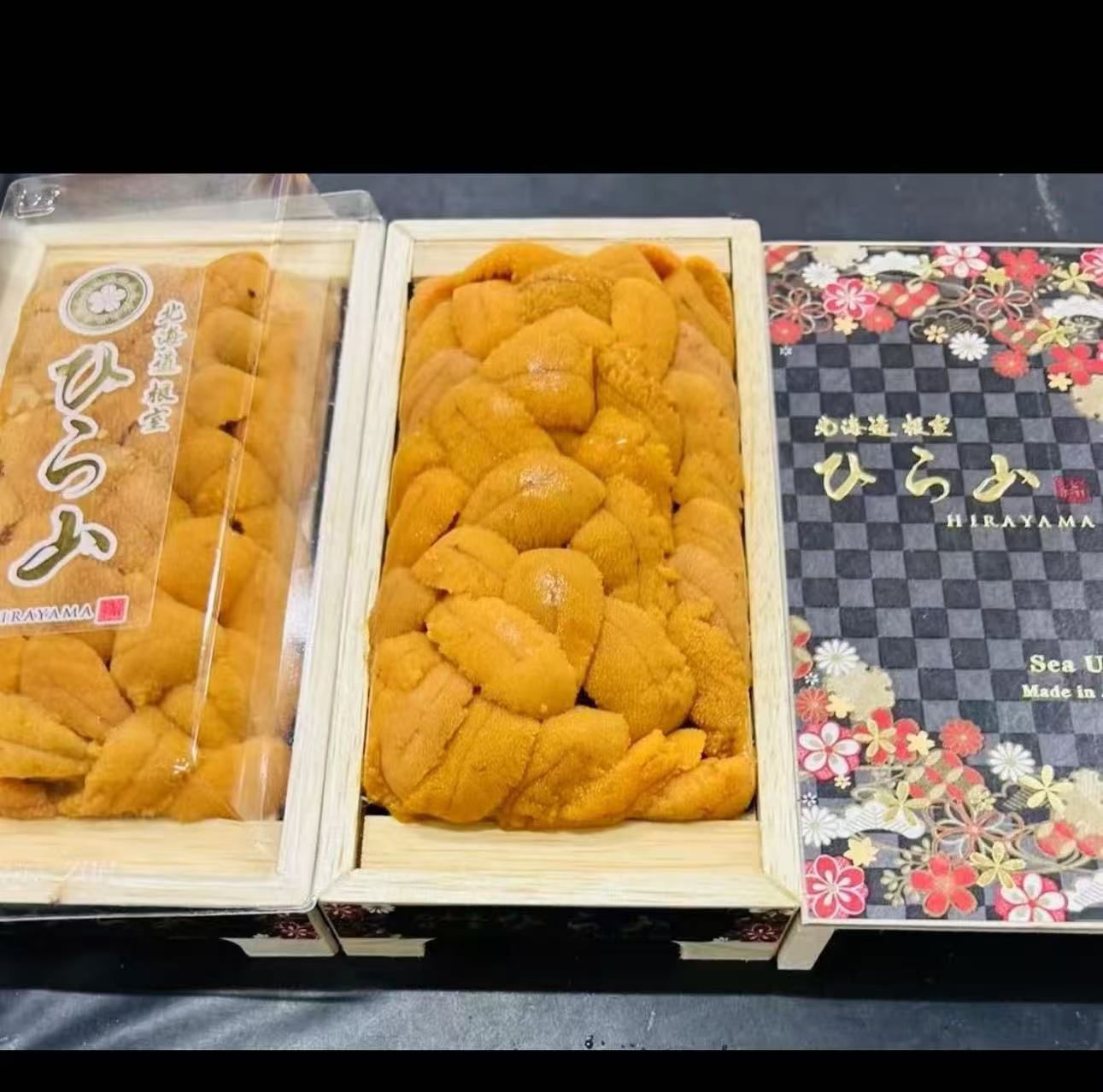 AAA級馬糞海膽