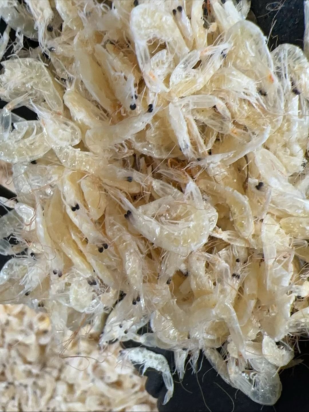 Natural dried shrimp (3 lbs)