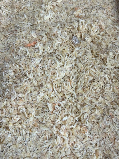 Natural dried shrimp (3 lbs)