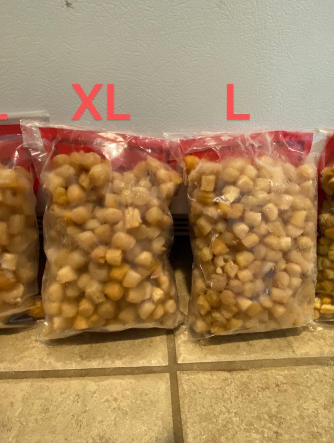 Large/Small Qingdao Shellfish