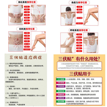 日本久光製藥 三伏貼