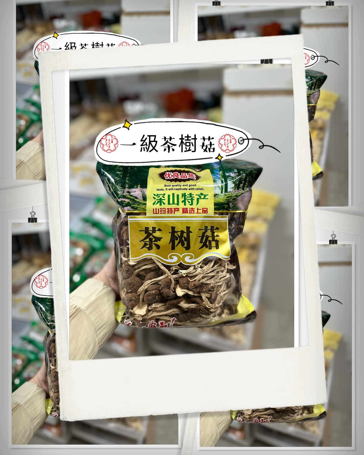 First Class Specially Selected Tea Tree Mushroom