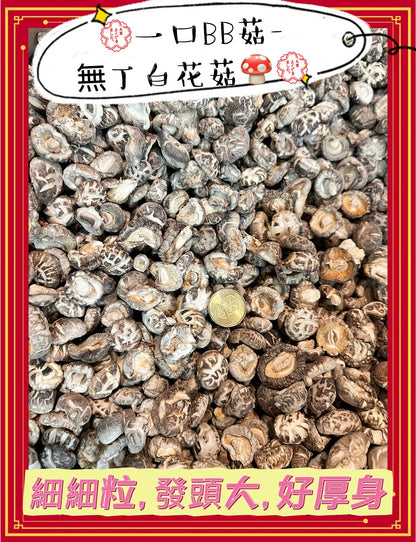 一口BB菇 (2磅)