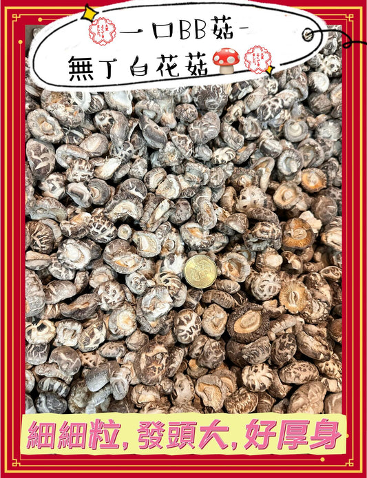 Selected Sleeve Pearl Log Small Flower Mushroom