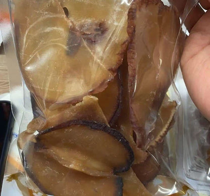 West African original giant whelk