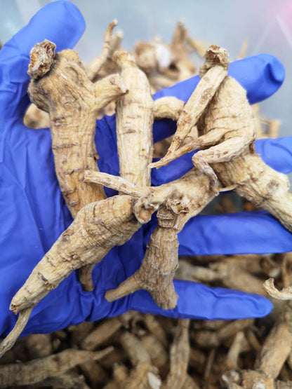 Naturally grown 5-year-old raw barrel ginseng is also called raw branch ginseng (4 pounds)