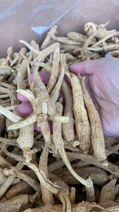 Naturally grown 5-year-old raw barrel ginseng is also called raw branch ginseng (4 pounds)