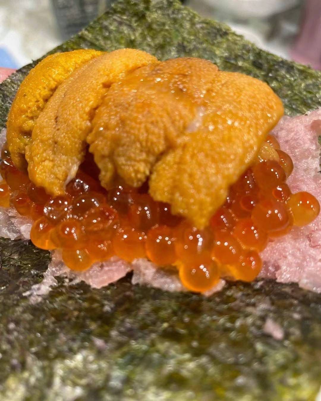 AAA級馬糞海膽