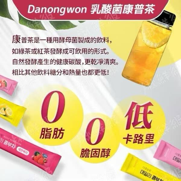 韓國養生保健茶推介Danongwon 乳酸菌康普茶 20入 (2包)