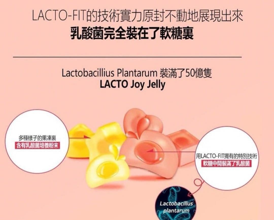 韓國 Lacto-fit Lacto Joy 腸健康乳酸菌 益生菌軟糖 (12或24小包)