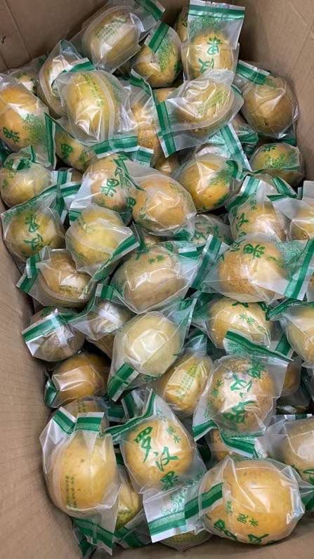 Extra large dehydrated golden monk fruit (10 pieces)