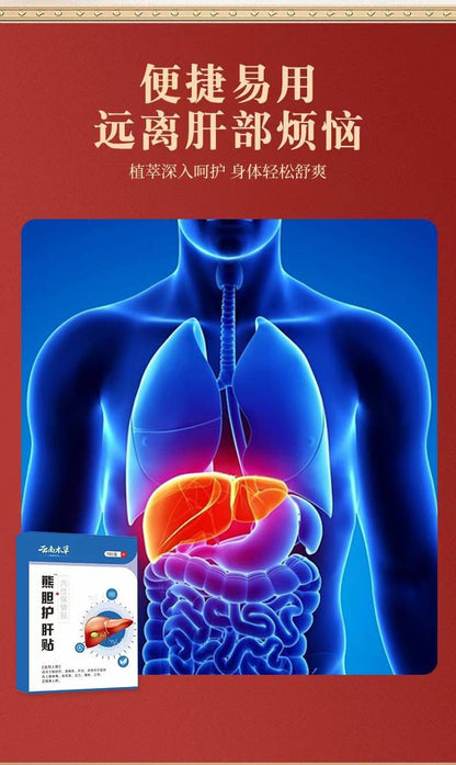 Yunnan Herbal Bear Gallbladder Liver Protective Patch (3 boxes)