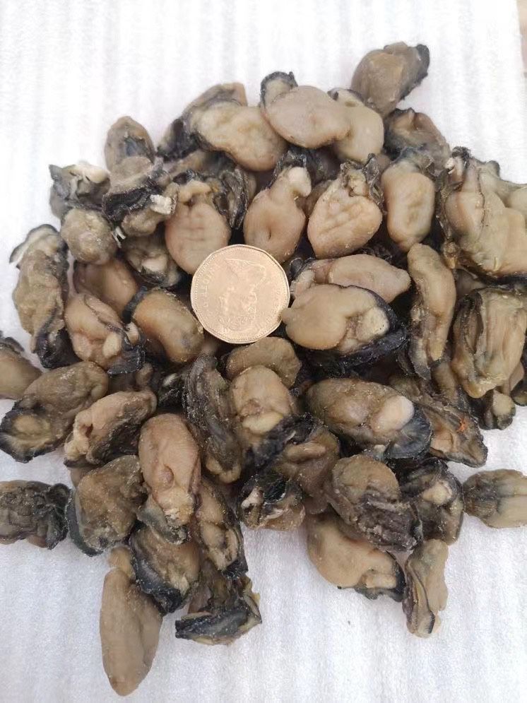 Chinese pearl large oysters (one pound)