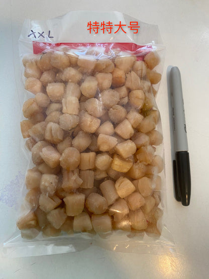 New arrival‼ ️ Dalian scallops (one pound)